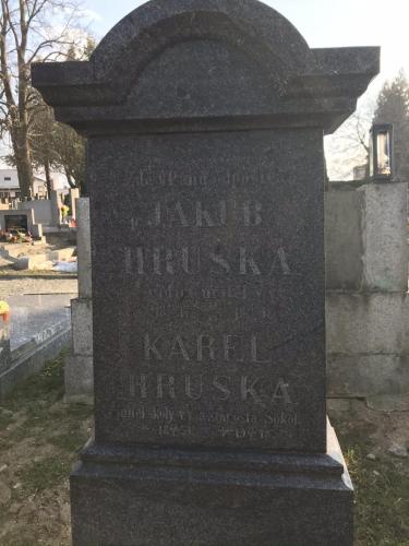 Sokol Votice5